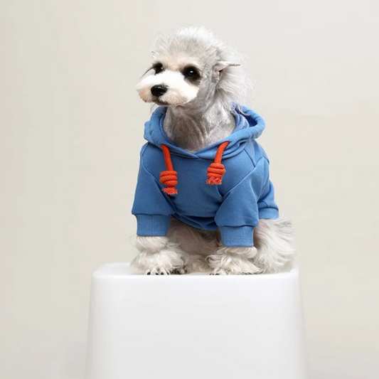 Doug & Doff Dog Trendy Colour-Clash Hooded Sweatshirt - Orange/Blue