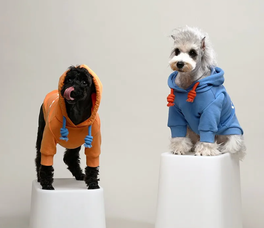 Doug & Doff Dog Trendy Colour-Clash Hooded Sweatshirt - Orange/Blue