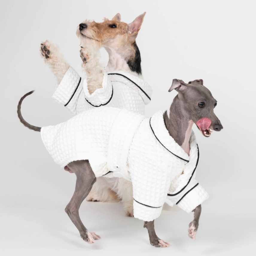 Doug & Doff Dog Microfiber Absorbent Soft Bathrobe - White